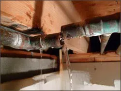 Coral Gables Restoration Expert Coral Gables, FL 786-364-3658 - 1-side