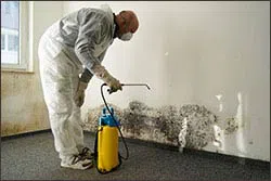 Coral Gables Restoration Expert Coral Gables, FL 786-364-3658 - 3-side