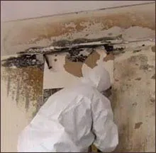 Coral Gables Restoration Expert Coral Gables, FL 786-364-3658 Coral Gables Restoration Expert Coral Gables, FL 786-364-3658 - home-cont